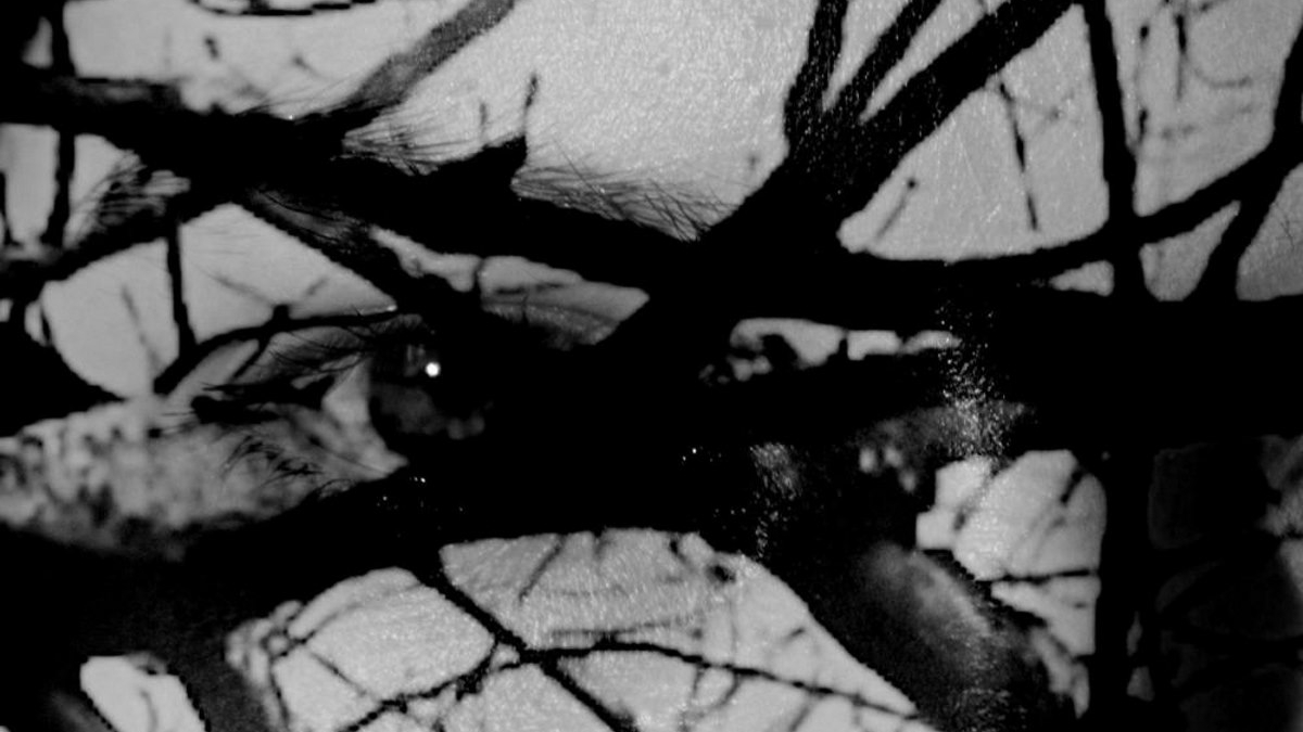 Filmstill Obscura: Luna Wagner Rodriguez
