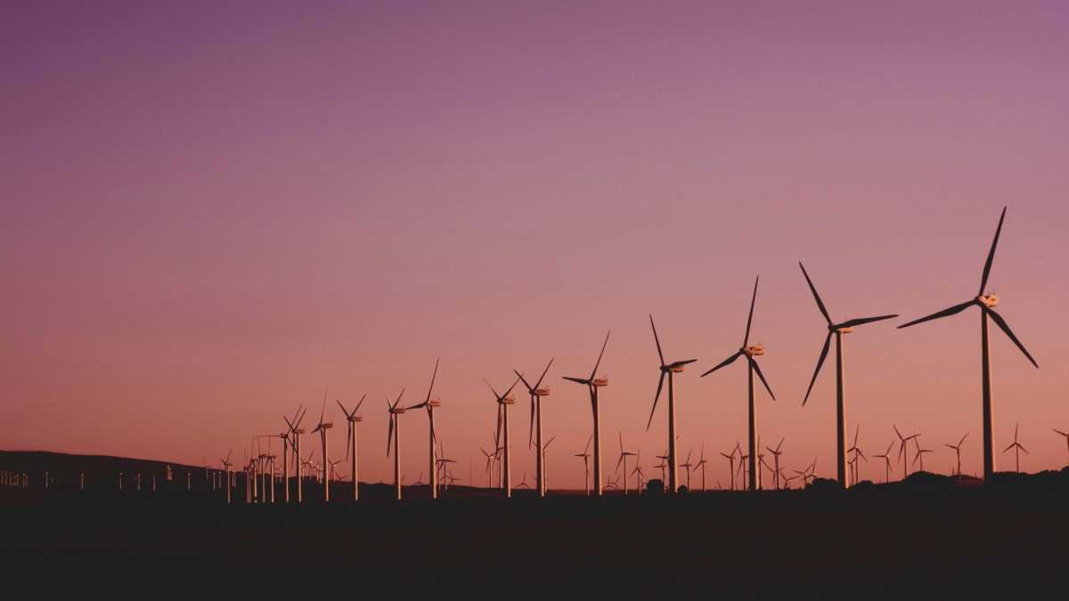 Nachhaltigkeit als Wettbewerbsvorteil