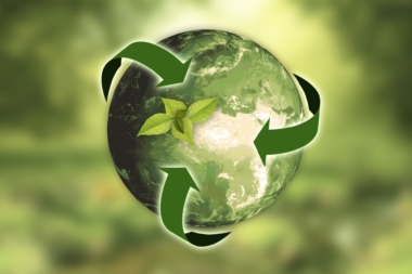 Zwischen Greenwashing und Glaubwürdigkeit – neue Spielregeln im Wettbewerb