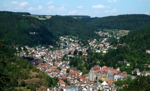 Logo-Ausschreibung der Stadt Schramberg