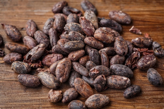 Nachhaltigkeit für Kakao und Schokolade
